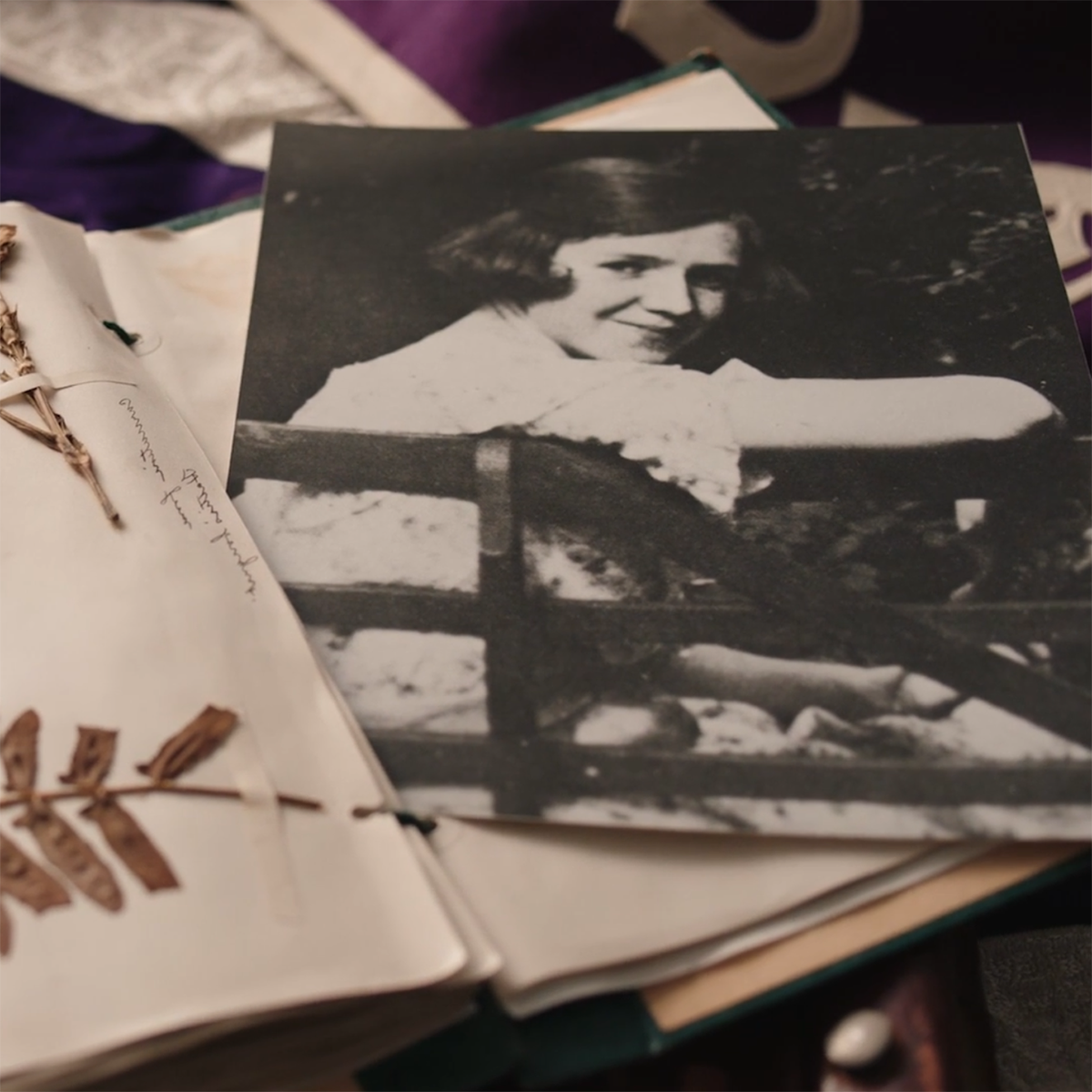 剪贴簿的特写照片，上面有干花和雷切尔·卡森的黑白照片剪辑